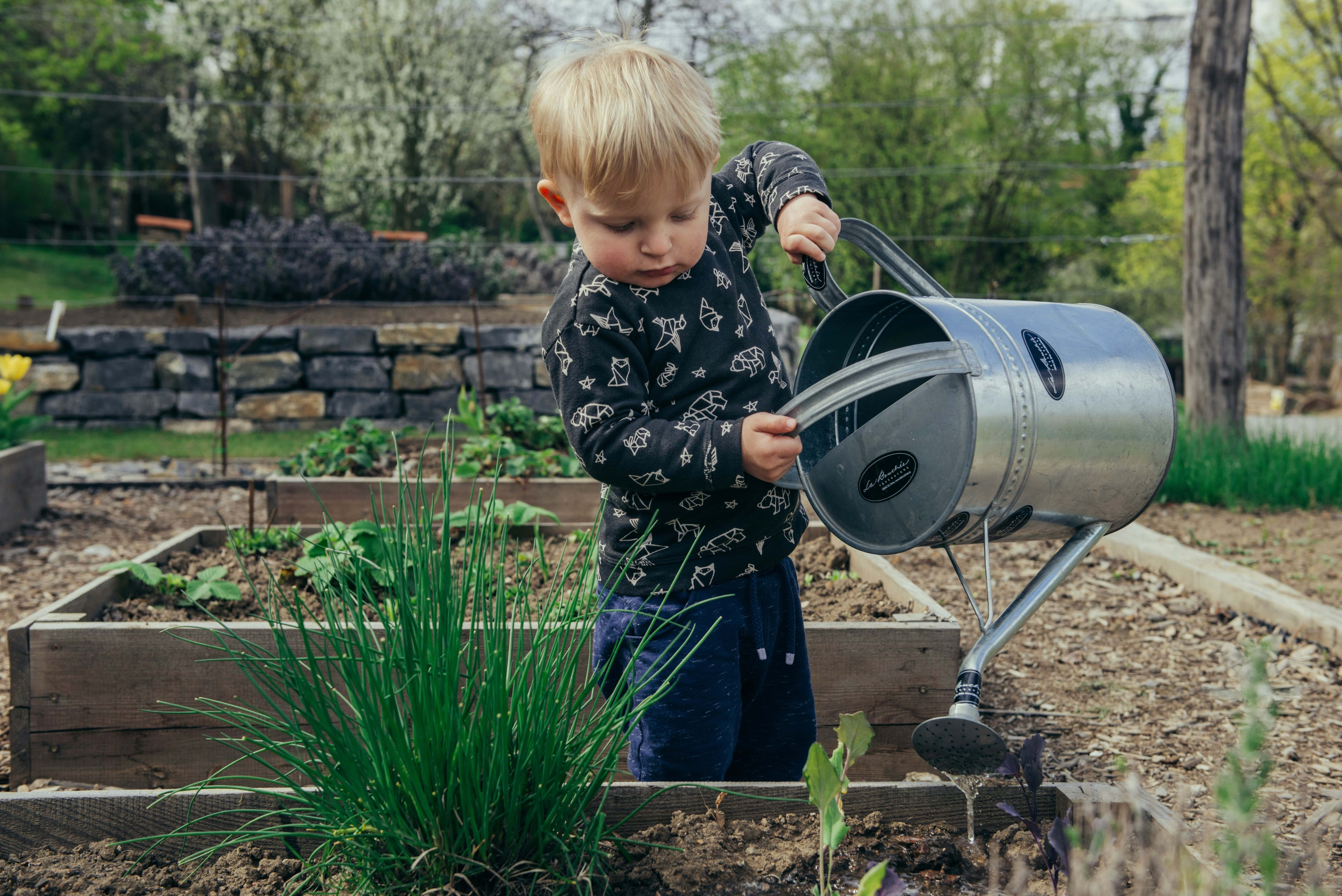 Essential Preseason Prep for Your Best Garden Yet